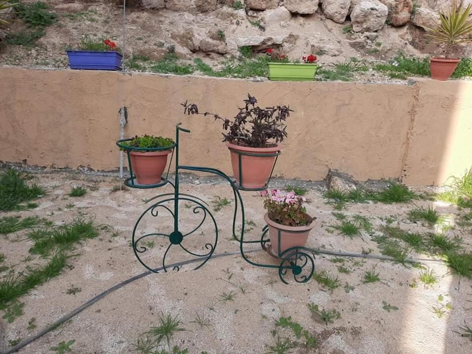 Emile Altwal Madaba Exterior foto